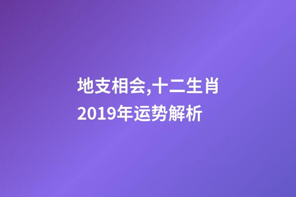 地支相会,十二生肖2019年运势解析-第1张-观点-玄机派