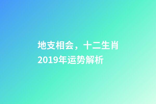 地支相会，十二生肖2019年运势解析-第1张-观点-玄机派