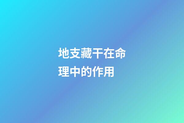 地支藏干在命理中的作用