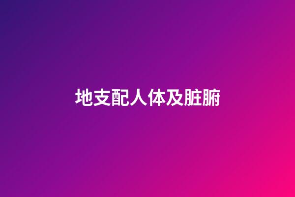 地支配人体及脏腑