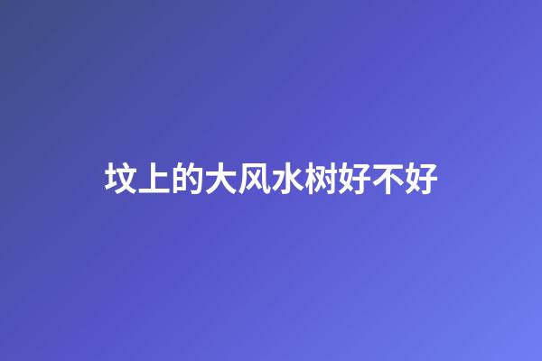 坟上的大风水树好不好