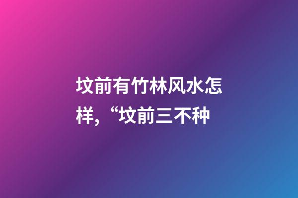 坟前有竹林风水怎样,“坟前三不种-第1张-观点-玄机派