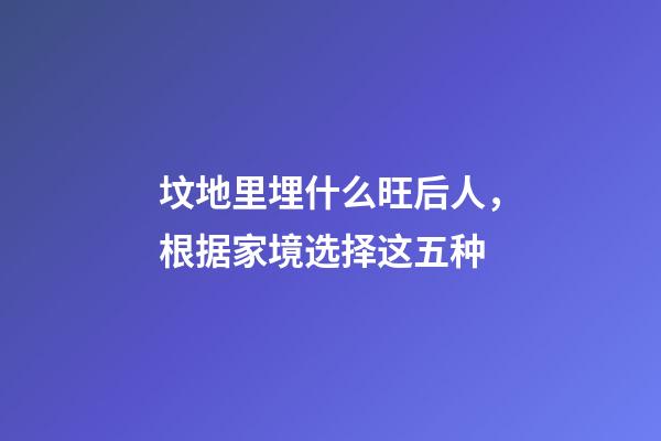 坟地里埋什么旺后人，根据家境选择这五种