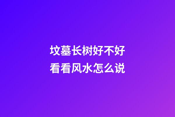 坟墓长树好不好看看风水怎么说