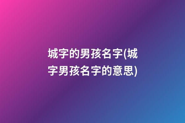 城字的男孩名字(城字男孩名字的意思)