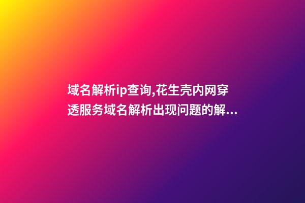 域名解析ip查询,花生壳内网穿透服务域名解析出现问题的解决方法-第1张-观点-玄机派