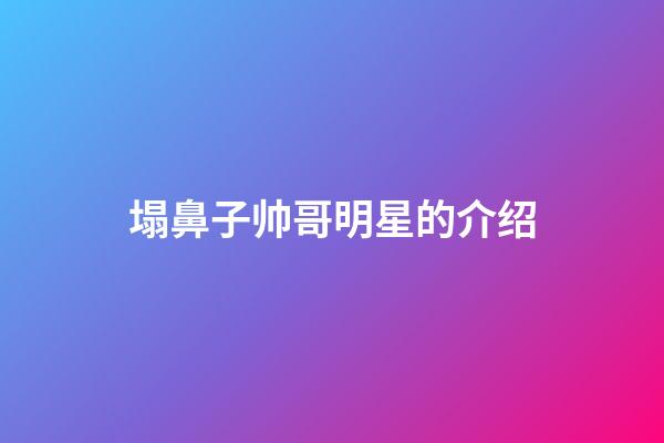 塌鼻子帅哥明星的介绍