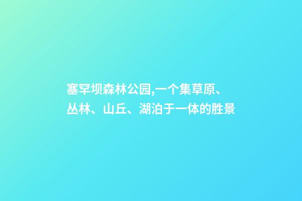 塞罕坝森林公园,一个集草原、丛林、山丘、湖泊于一体的胜景-第1张-观点-玄机派