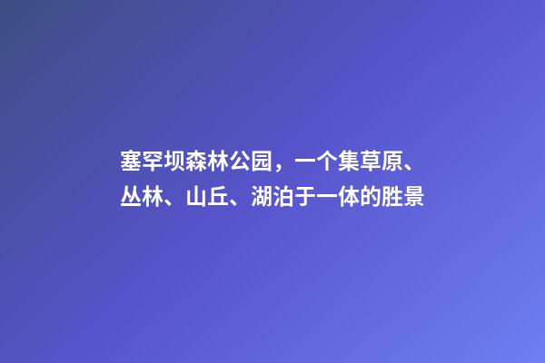 塞罕坝森林公园，一个集草原、丛林、山丘、湖泊于一体的胜景-第1张-观点-玄机派