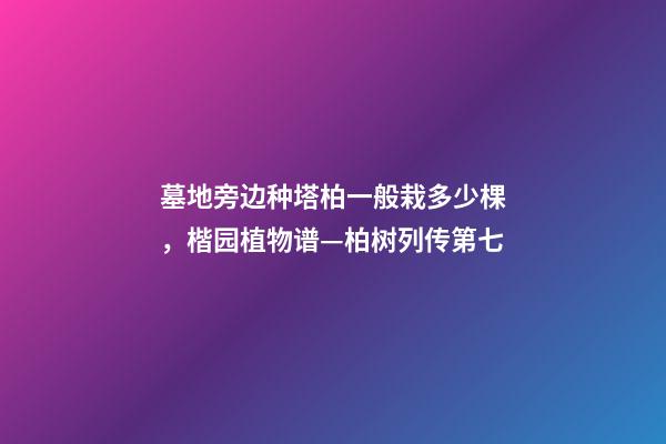墓地旁边种塔柏一般栽多少棵，楷园植物谱—柏树列传第七-第1张-观点-玄机派