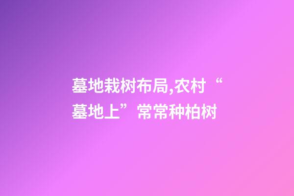 墓地栽树布局,农村“墓地上”常常种柏树-第1张-观点-玄机派