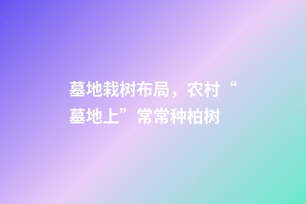 墓地栽树布局，农村“墓地上”常常种柏树-第1张-观点-玄机派
