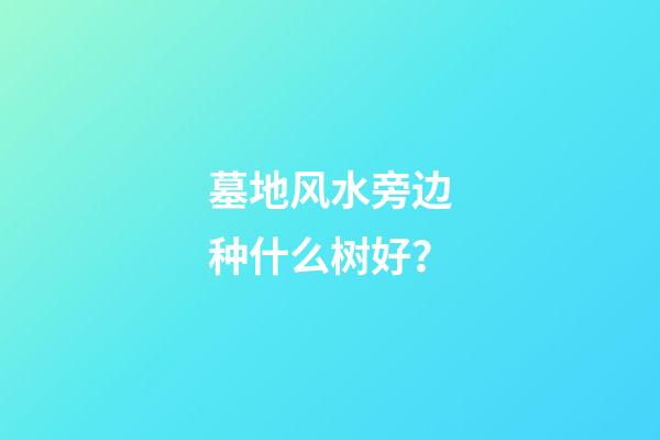墓地风水旁边种什么树好？