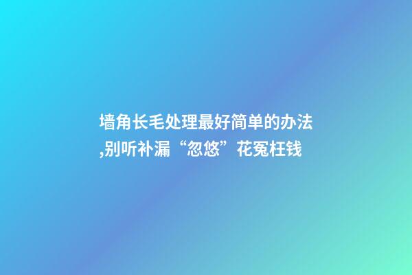 墙角长毛处理最好简单的办法,别听补漏“忽悠”花冤枉钱-第1张-观点-玄机派