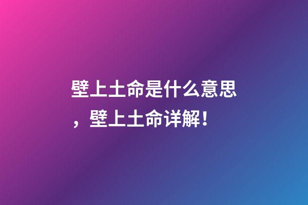 壁上土命是什么意思，壁上土命详解！