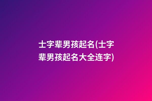 士字辈男孩起名(士字辈男孩起名大全连字)