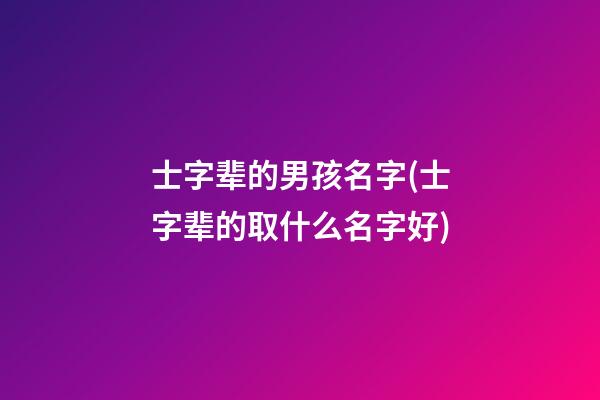 士字辈的男孩名字(士字辈的取什么名字好)