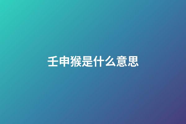 壬申猴是什么意思