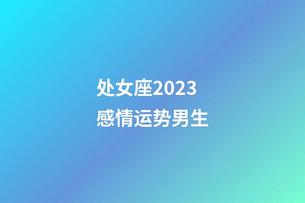 处女座2023感情运势男生-第1张-星座运势-玄机派