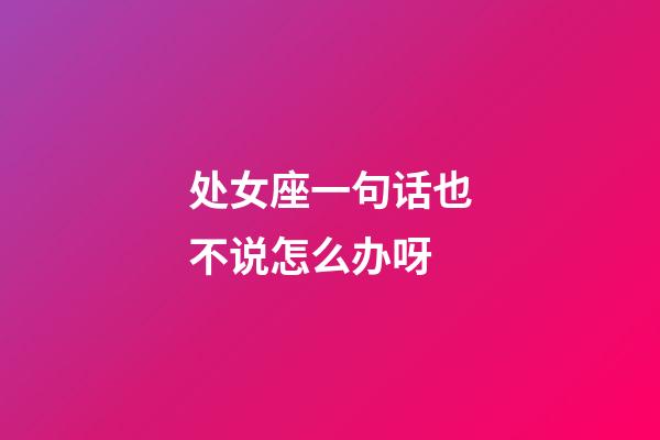 处女座一句话也不说怎么办呀-第1张-星座运势-玄机派