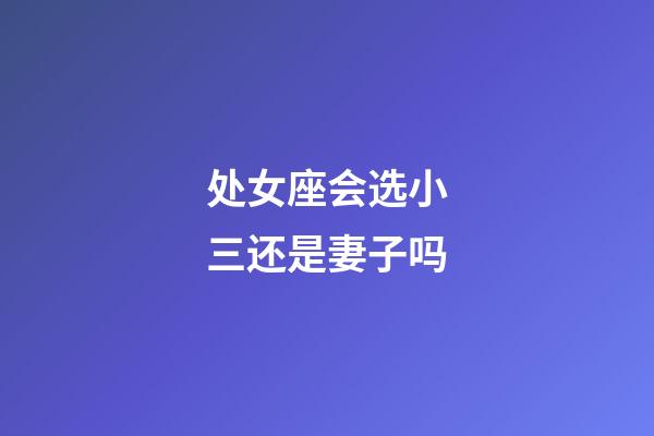 处女座会选小三还是妻子吗-第1张-星座运势-玄机派