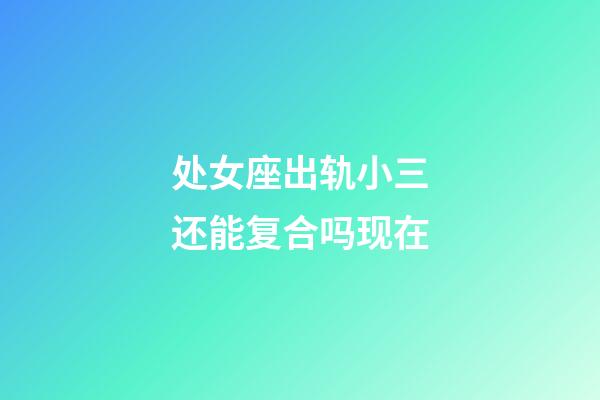 处女座出轨小三还能复合吗现在-第1张-星座运势-玄机派