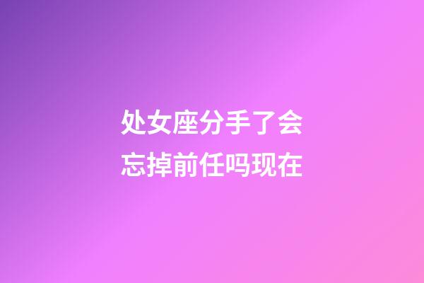 处女座分手了会忘掉前任吗现在-第1张-星座运势-玄机派