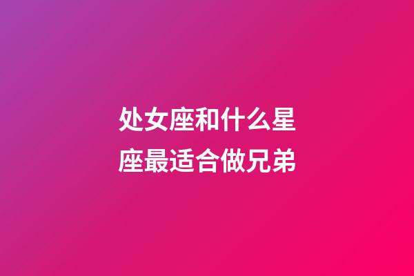 处女座和什么星座最适合做兄弟-第1张-星座运势-玄机派