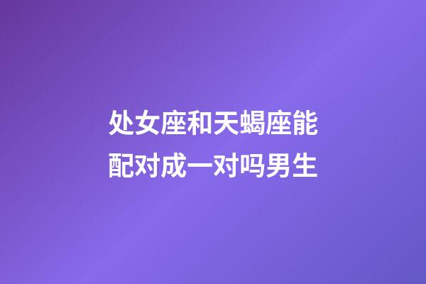 处女座和天蝎座能配对成一对吗男生-第1张-星座运势-玄机派