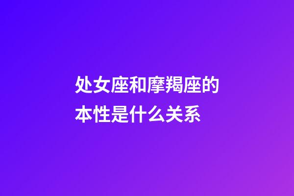 处女座和摩羯座的本性是什么关系-第1张-星座运势-玄机派