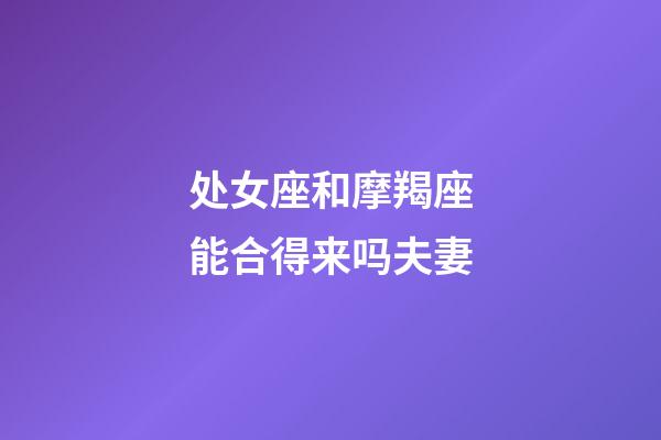 处女座和摩羯座能合得来吗夫妻-第1张-星座运势-玄机派