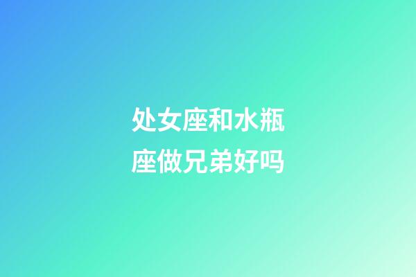 处女座和水瓶座做兄弟好吗-第1张-星座运势-玄机派