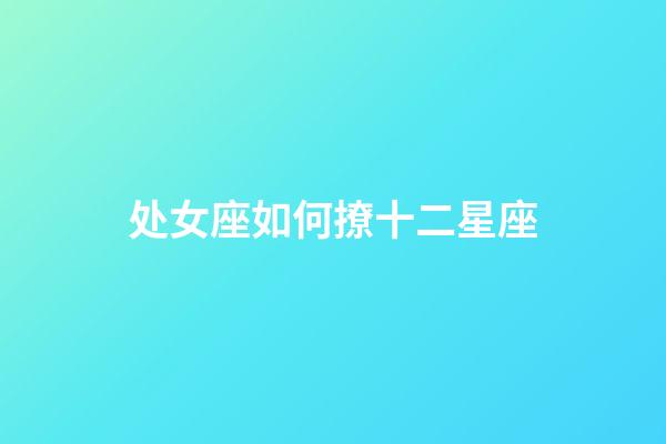 处女座如何撩十二星座-第1张-星座运势-玄机派