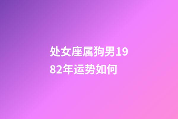 处女座属狗男1982年运势如何-第1张-星座运势-玄机派