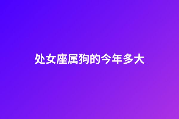 处女座属狗的今年多大-第1张-星座运势-玄机派