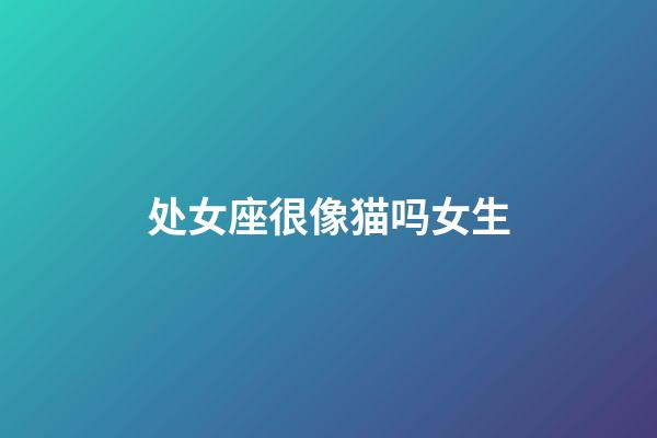 处女座很像猫吗女生-第1张-星座运势-玄机派