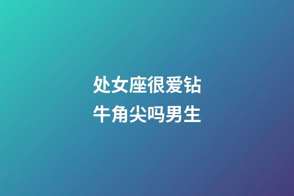 处女座很爱钻牛角尖吗男生-第1张-星座运势-玄机派