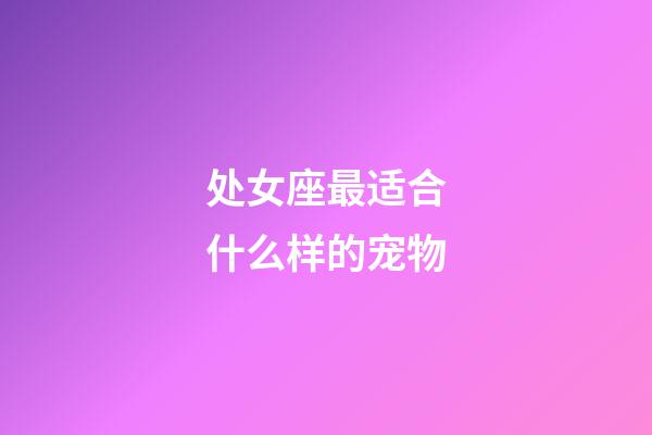 处女座最适合什么样的宠物-第1张-星座运势-玄机派