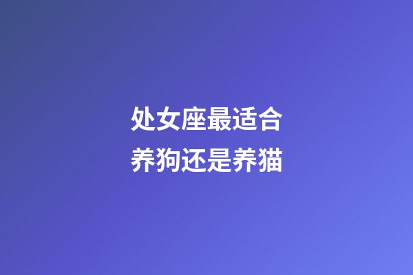 处女座最适合养狗还是养猫-第1张-星座运势-玄机派