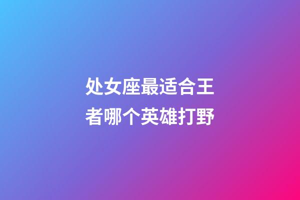 处女座最适合王者哪个英雄打野-第1张-星座运势-玄机派