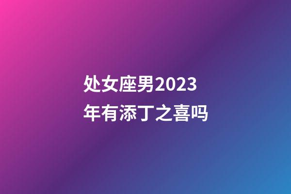 处女座男2023年有添丁之喜吗-第1张-星座运势-玄机派