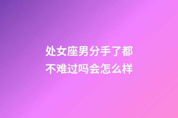 处女座男分手了都不难过吗会怎么样-第1张-星座运势-玄机派