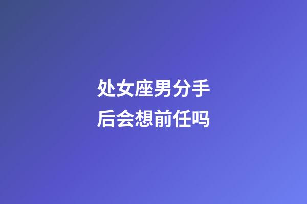处女座男分手后会想前任吗-第1张-星座运势-玄机派