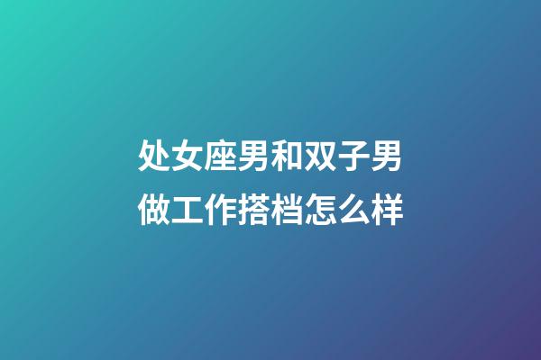 处女座男和双子男做工作搭档怎么样-第1张-星座运势-玄机派