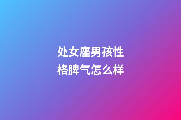 处女座男孩性格脾气怎么样-第1张-星座运势-玄机派