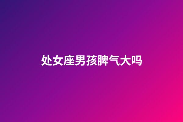 处女座男孩脾气大吗-第1张-星座运势-玄机派