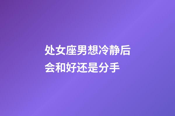 处女座男想冷静后会和好还是分手-第1张-星座运势-玄机派