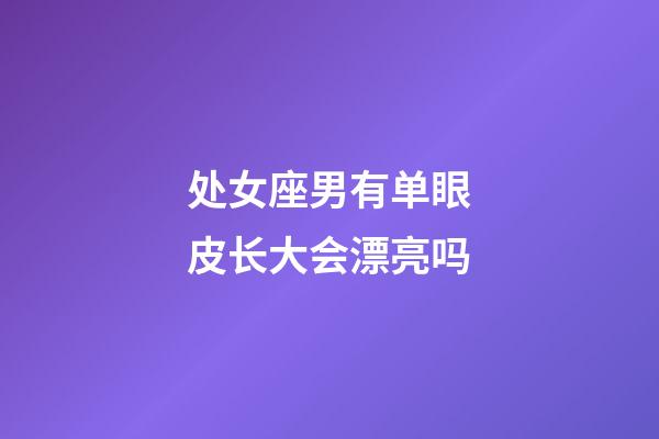 处女座男有单眼皮长大会漂亮吗-第1张-星座运势-玄机派