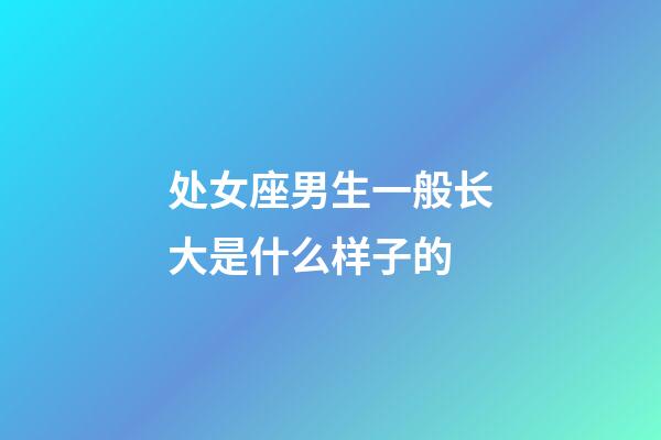 处女座男生一般长大是什么样子的-第1张-星座运势-玄机派