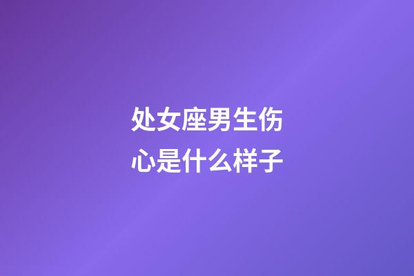 处女座男生伤心是什么样子-第1张-星座运势-玄机派